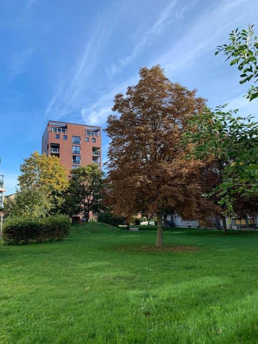 Eine Gemuetliche Einzimmerwohnung Ostfildern Dış mekan fotoğraf